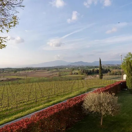 Ripassoqui Maison d'hôtes