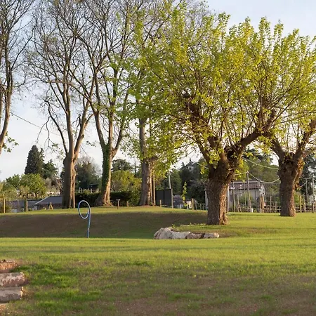 Ripassoqui 3* Кустоца