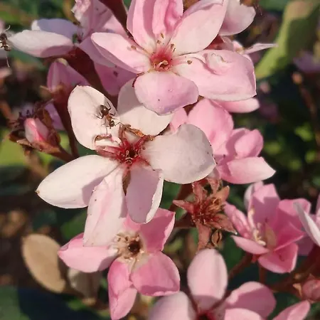 Maison d'hôtes Ripassoqui Custoza