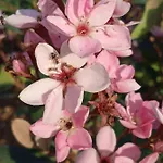 Gæstehus Ripassoqui Custoza