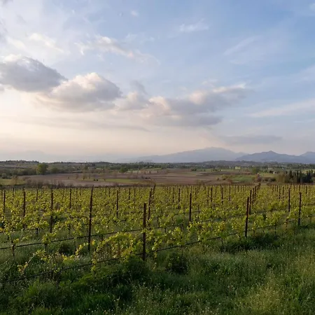 Guest house Ripassoqui Custoza