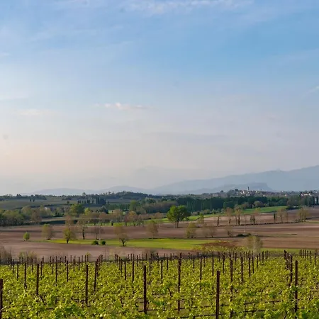 Ripassoqui Guest house Custoza