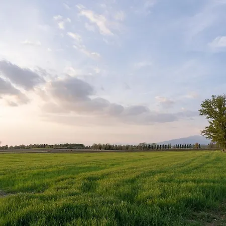 Affittacamere Ripassoqui