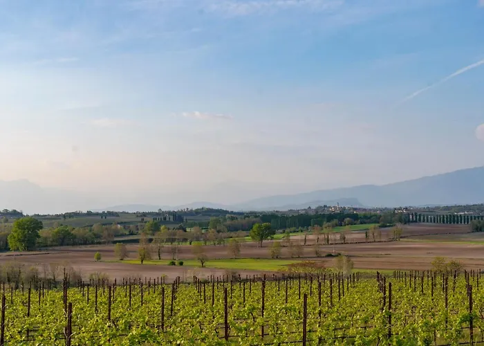 Ripassoqui Pensionat Custoza